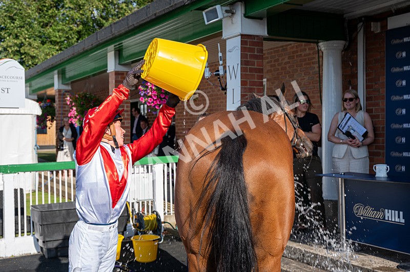 020825-Race 8-Dandy Dinmont-7667 - Race 8