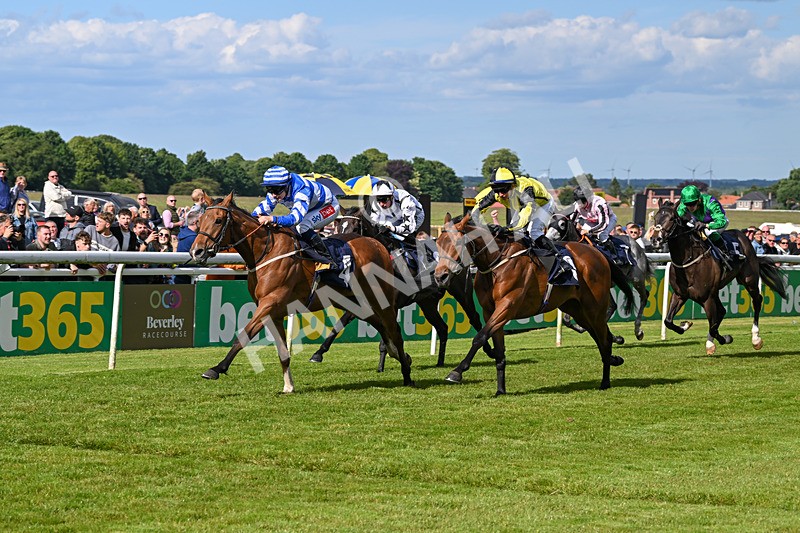 080624-Race 7-This Years Love-2052