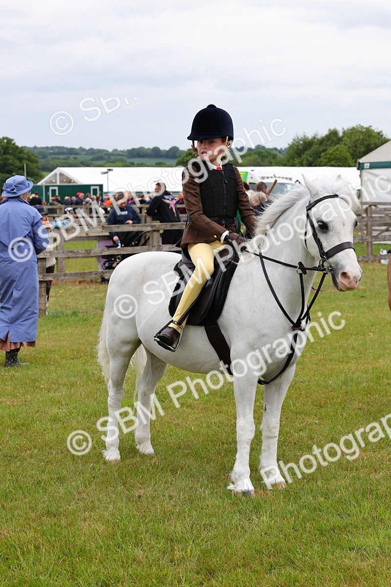SBM_08860 - Class 42-43 - LIHS BSPS Heritage Working Sports Pony