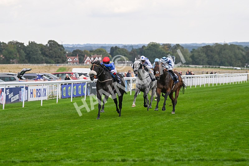 240924-Race 4-Tees Spirit-6232 - Race 4