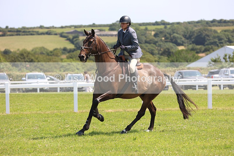 JPP_3011 - Class 22: Working Hunter 70cm