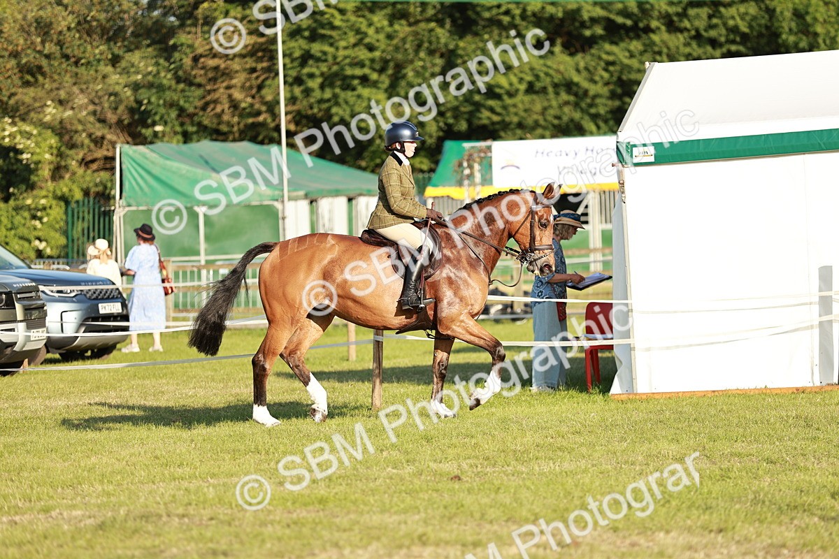 SBM_20440 - Class 117-119 - Sport Horse Working Hunter