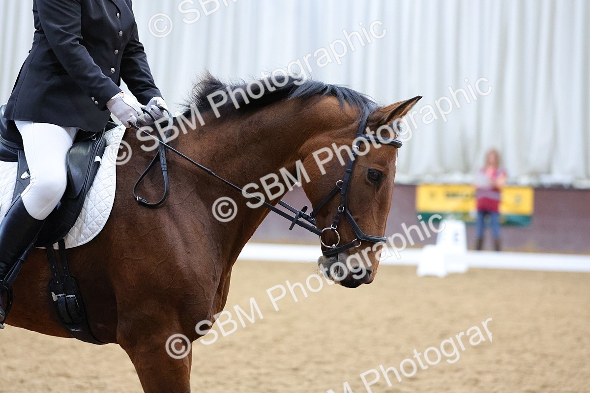 SBM_001971 - Class 5 - Novice 3