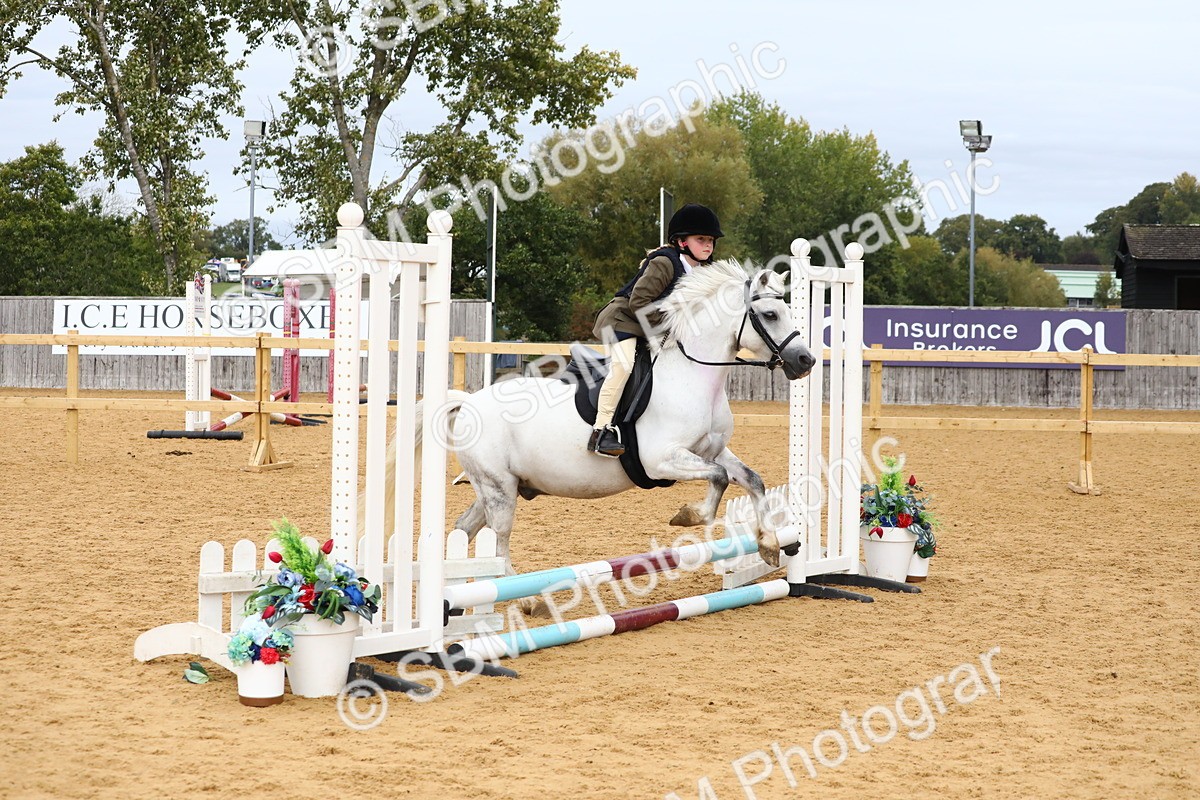 SBM_68126 - J3b - Mini Tour Junior Pony 40cm Championship