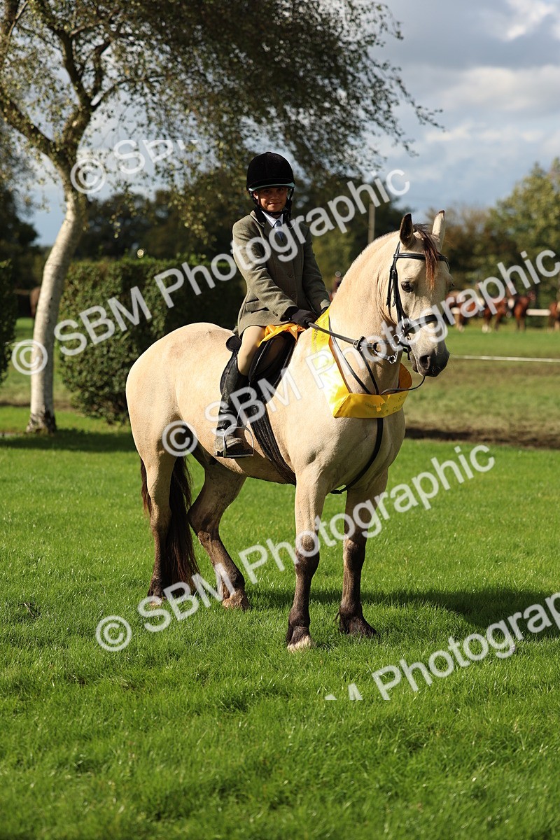 SBM_46432 - Working Hunter Pony Supreme Championship