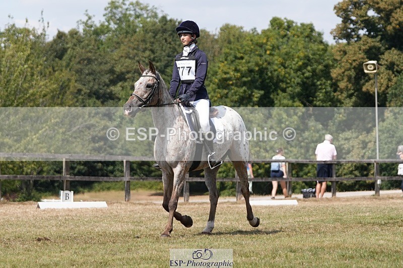 250823A-131117-31147 - Arena A