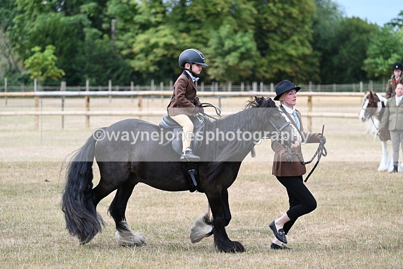 WJ7_6698 - Class 1 Lead Rein Pony