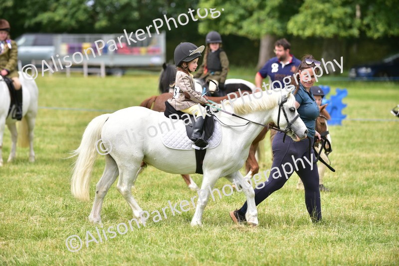 20260614-3675 - Class 15 - Prettiest Mare