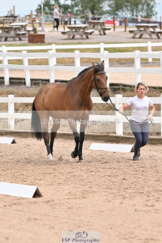 250716-144035-01292 - Trot Up 2.30 to 3.30