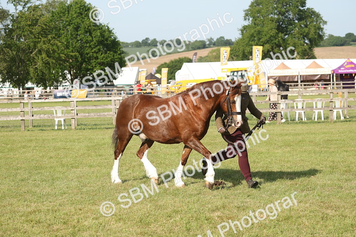 SBM_10353 - Class 33-38 - SSADL RIHS Qualifiers