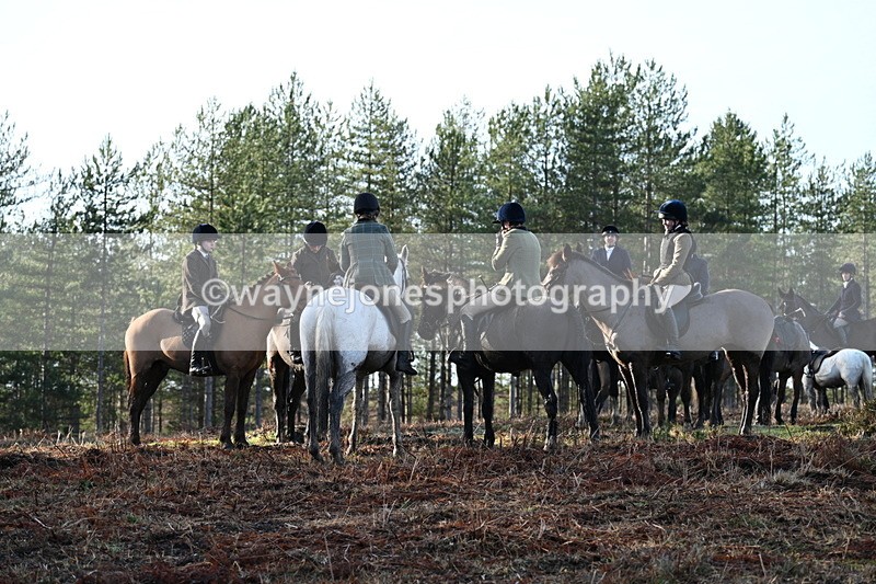 WJ7_7459 - Line 3 (no line 4 or 5)