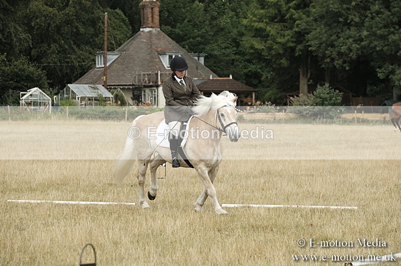 _PJP5745 - Dressage Classes BVRC Show 2018