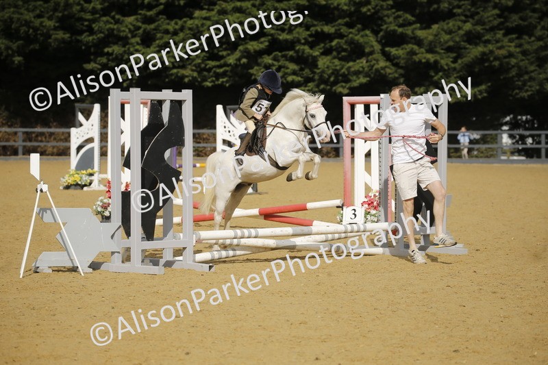 20250622-1272 - 40cm