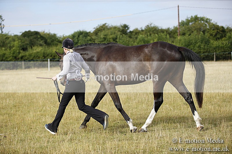 _C7A9129 - BVRC Sow 2018 Ring 2