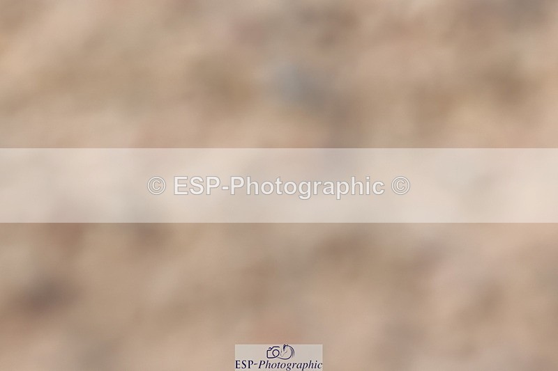 240622A-163926-14677 - Cls 36 BD Adv Medium 98