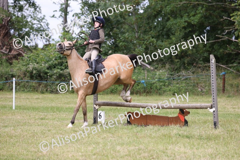 20260614-2961 - Class 22 - Open Working Hunter