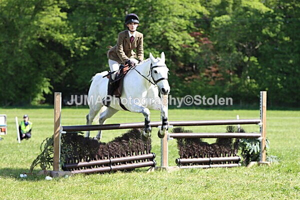 IMG_4837 - Working Hunter