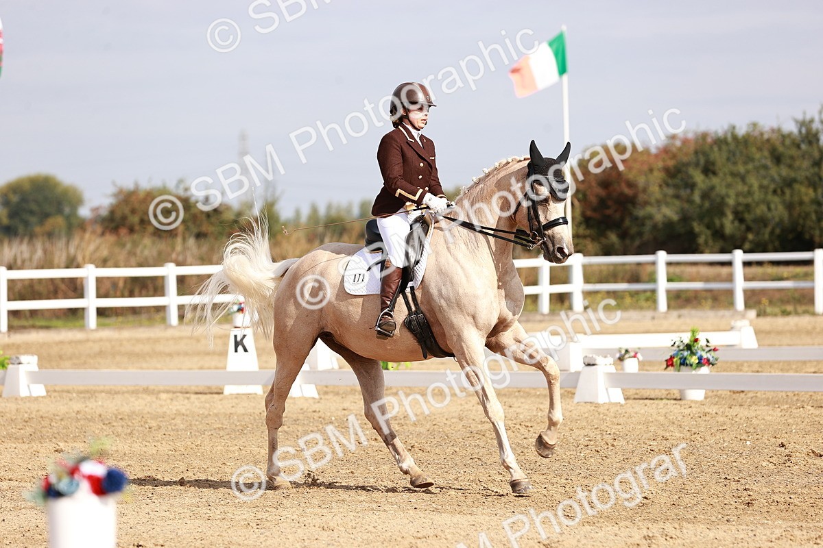 SBM_017005 - Class 10 - Medium 6