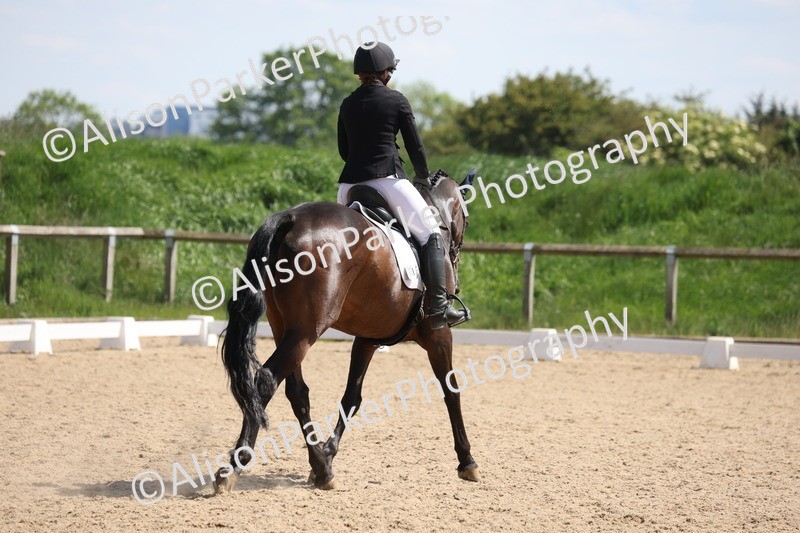 20250520-0926 - Class 7 - Elementary 2