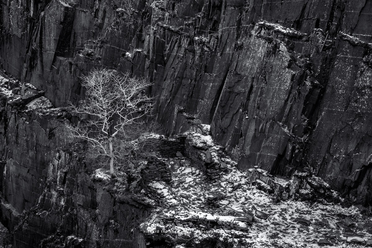 Dinorwic Treehouse - Repossession
