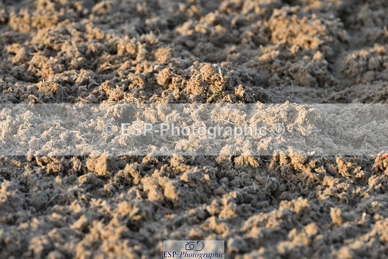 231105-154951-03944 - Cls 4 Novice 24 15.24 to 16.35 break