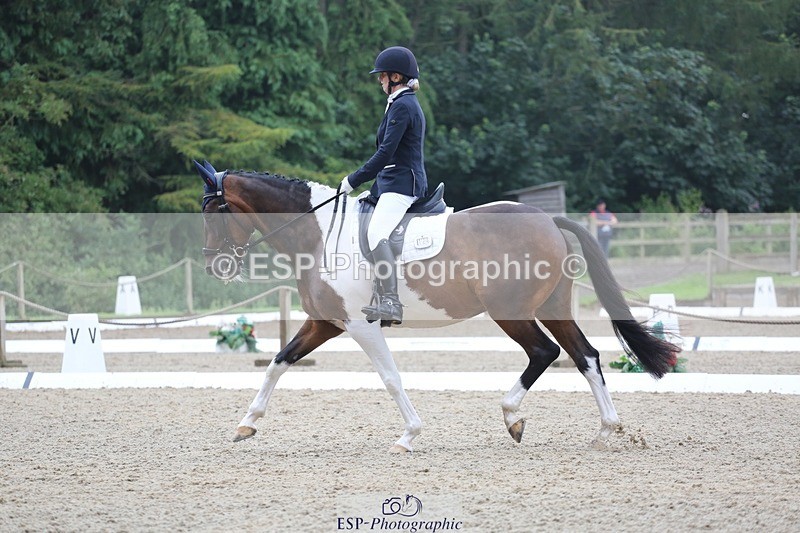 240720-145740-06267 - 124-Sophie_Savage-Two_Tone_Ted