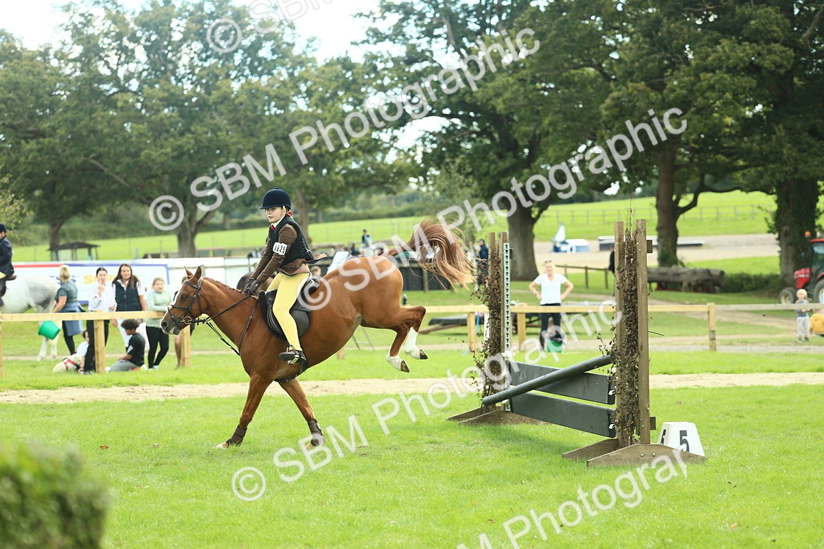 SBM_44642 - S31 - Working Hunter Pony