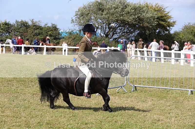 1X9A5577 - Class 39: NPS Dartmoor, Exmoor, Shetland