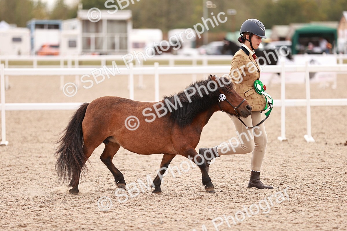 SBM_18452 - Class 419 - Best Maine and Tail - Jnr