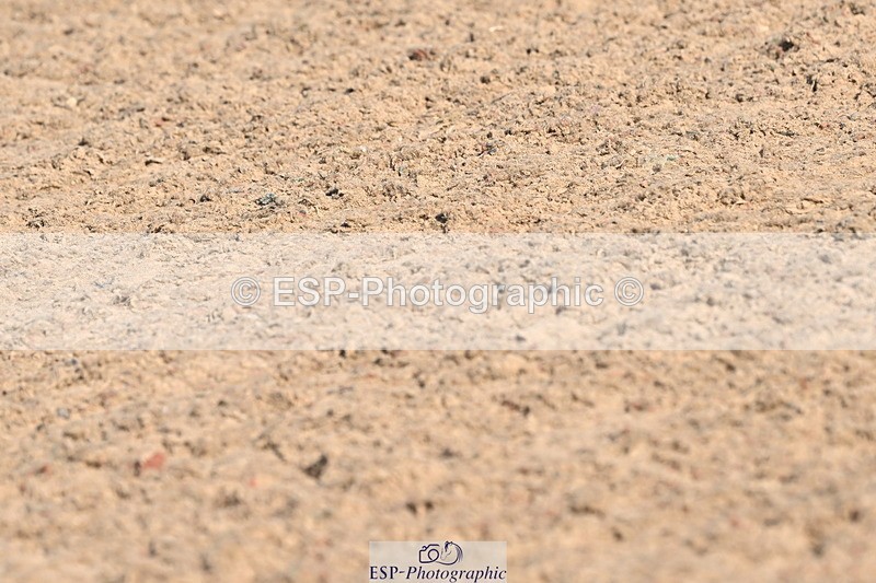 240509A-091927-00521 - Cls 8 Foxhunter