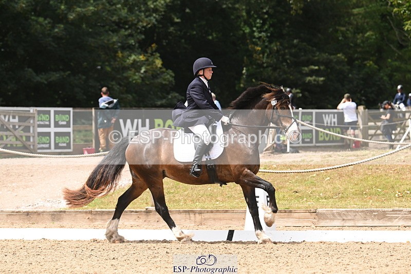 250720A-115950-10114 - 079-Amanda.Williams-Llanarth.Westminster