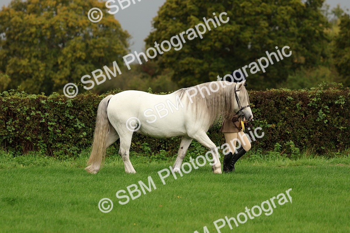 SBM_32901 - S8 - Best Turned Out