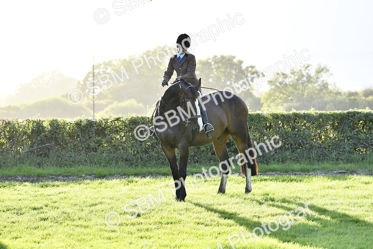 SBM_53572 - S14 - Riding Club Horse