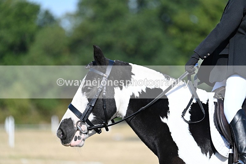 WJ7_9350 - Time 10:08 to 10:13