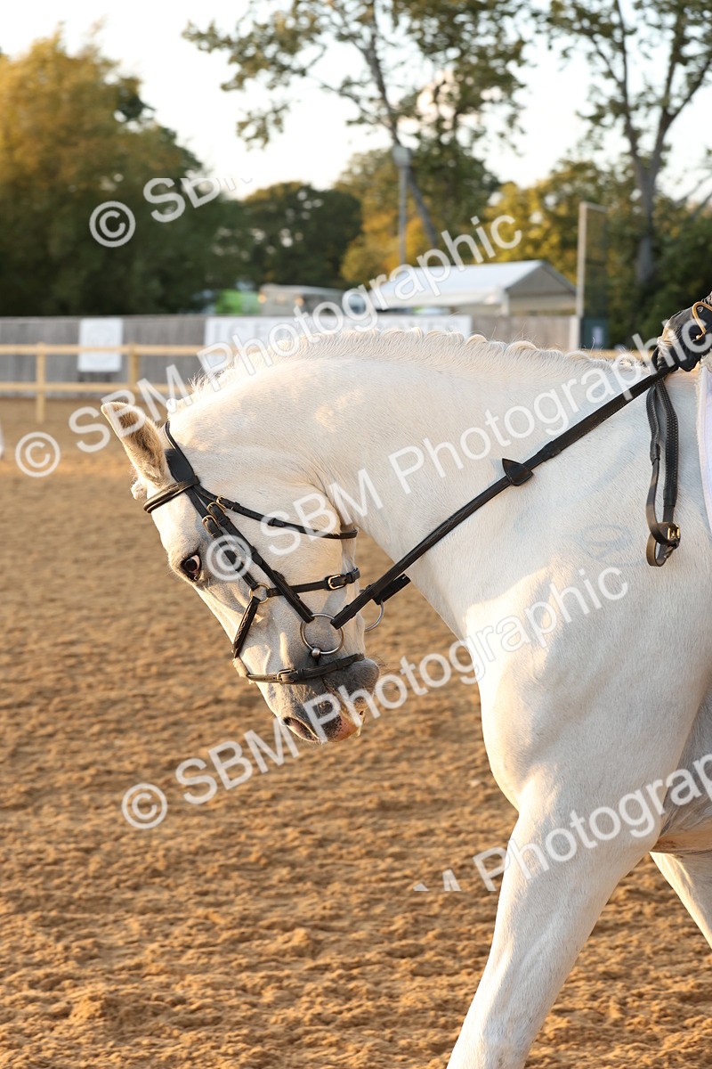 SBM_13629 - D9 - Small Tour Championship Prelim 3