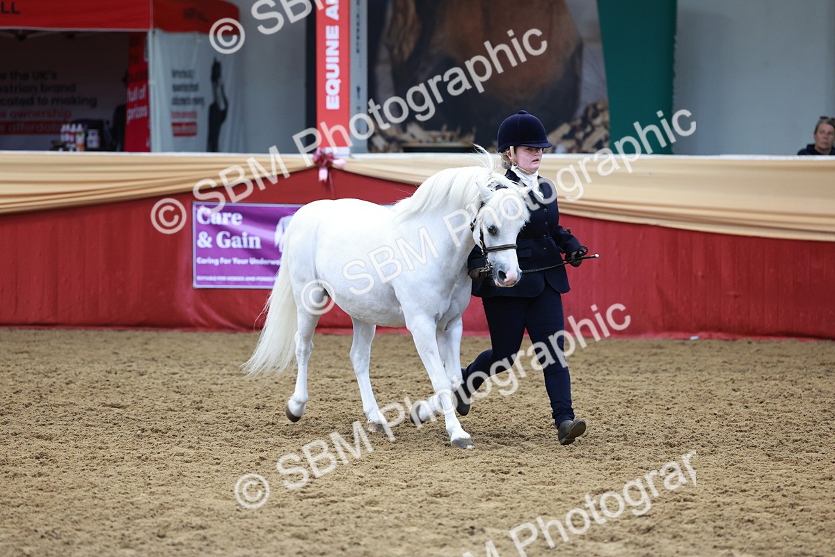 SBM_17386 - Class 951 - M&M IH Supreme Final