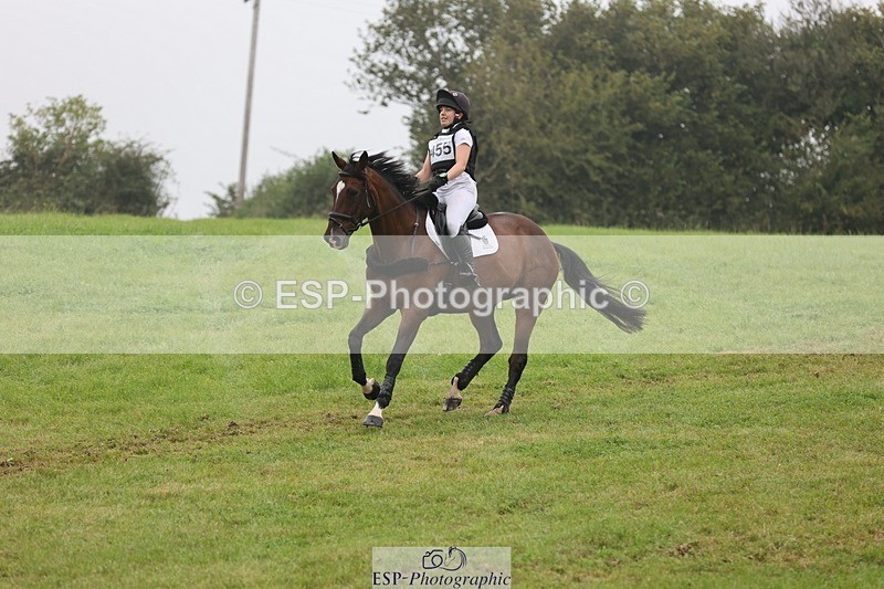 240901A-112017-06241 - 455-Bel.Wright-KING.BILL