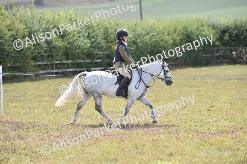 20250831-3947 - Class 11 - Working Hunter Pony 13hh and Under