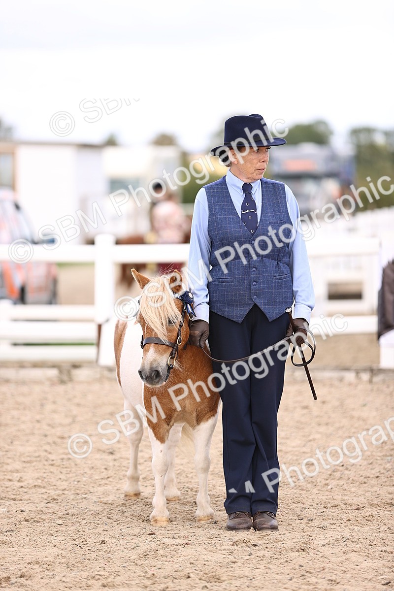 SBM_14194 - Class 415 - Horse-Pony judge would most like to take home (IH or Ridden)
