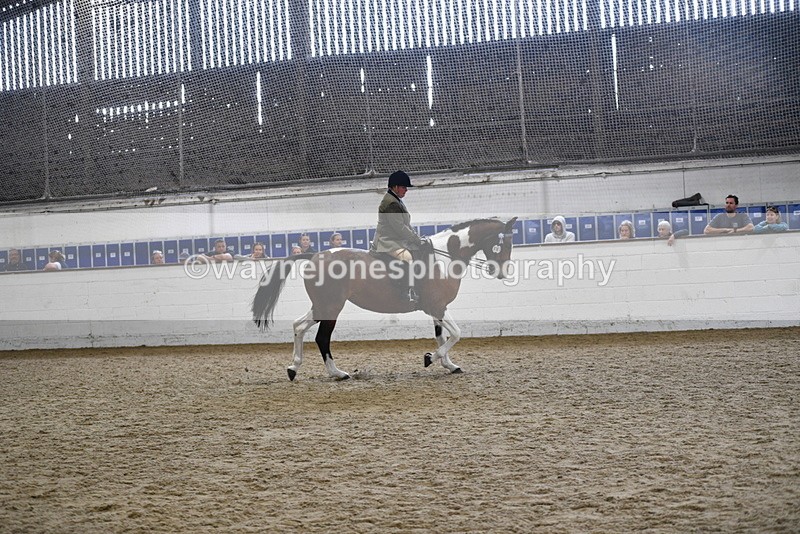 WJ5_6045 - Class 9 Ridden Veteran