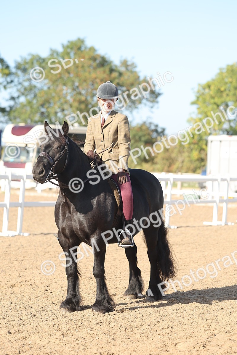 SBM_22214 - Class 802 - Ridden Groom Helpers Class