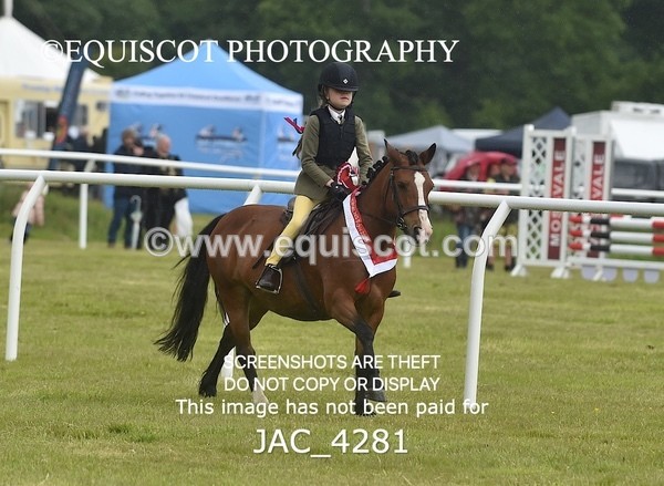 JAC_4281 - WORKING HUNTER CHAMPIONSHIP