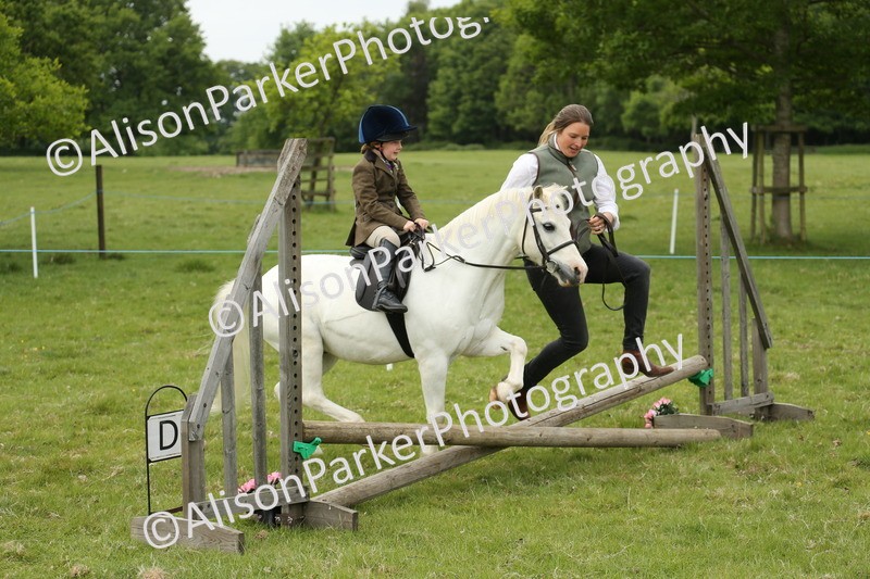20250517-0546 - Class 20 - Beginners Working Hunter