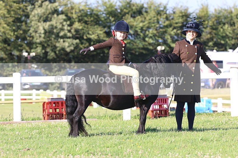 JPP_0695 - Class 16: Cornish Combination Leading Rein
