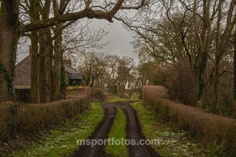  - Old world farm near Dromara
