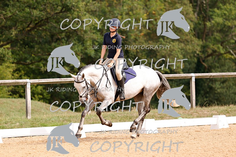 _R6A2575 - Dressage Morning