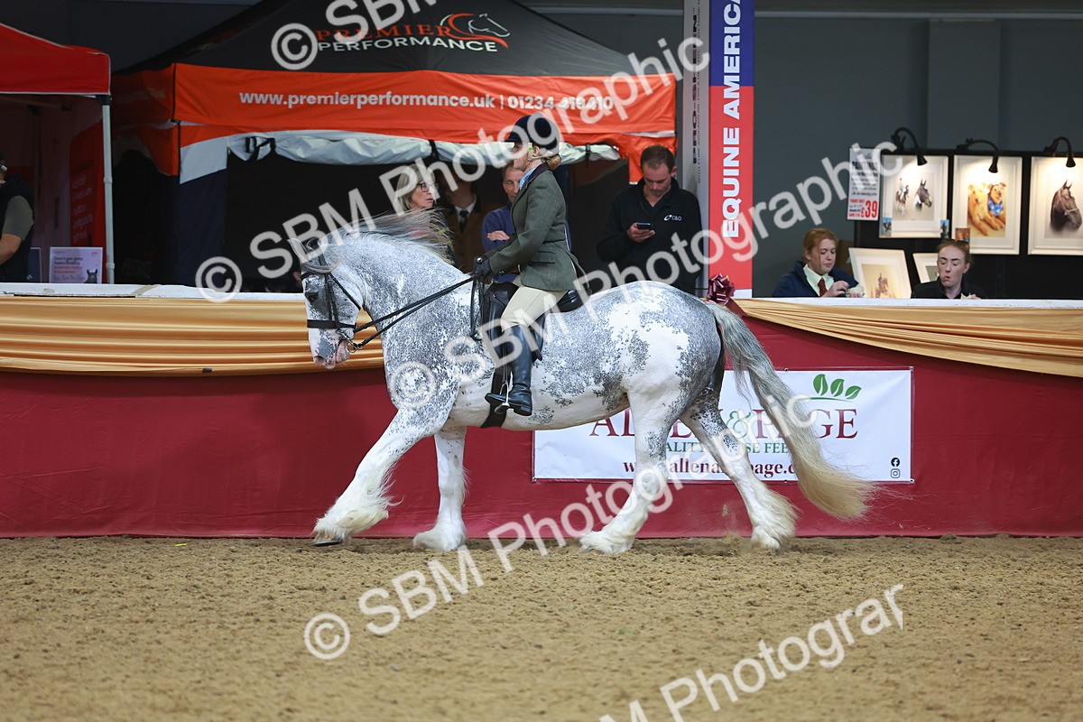 SBM_12602 - Class 103 - HOYS Veteran Qualifier - Ridden Pre Vet