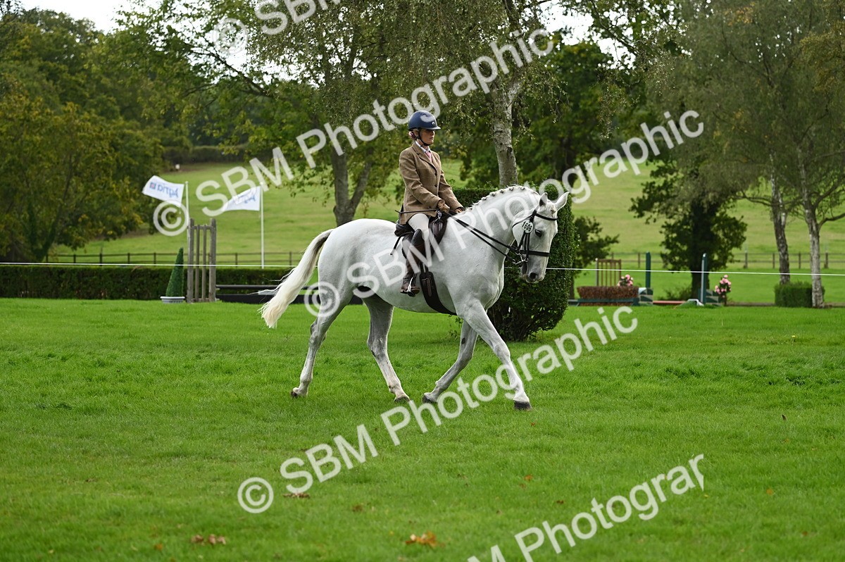 SBM_26357 - S6 - Novice & newcomer Ridden horse