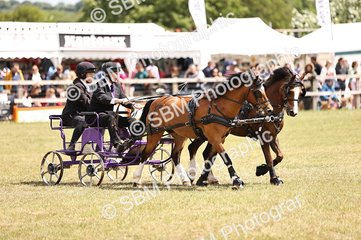 SBM_15199 - Class 90 - Scurry 122cm and Under