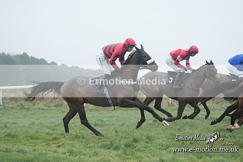 PtP 101223 494 - New Forest Hounds PtP Larkhill 10/12/23